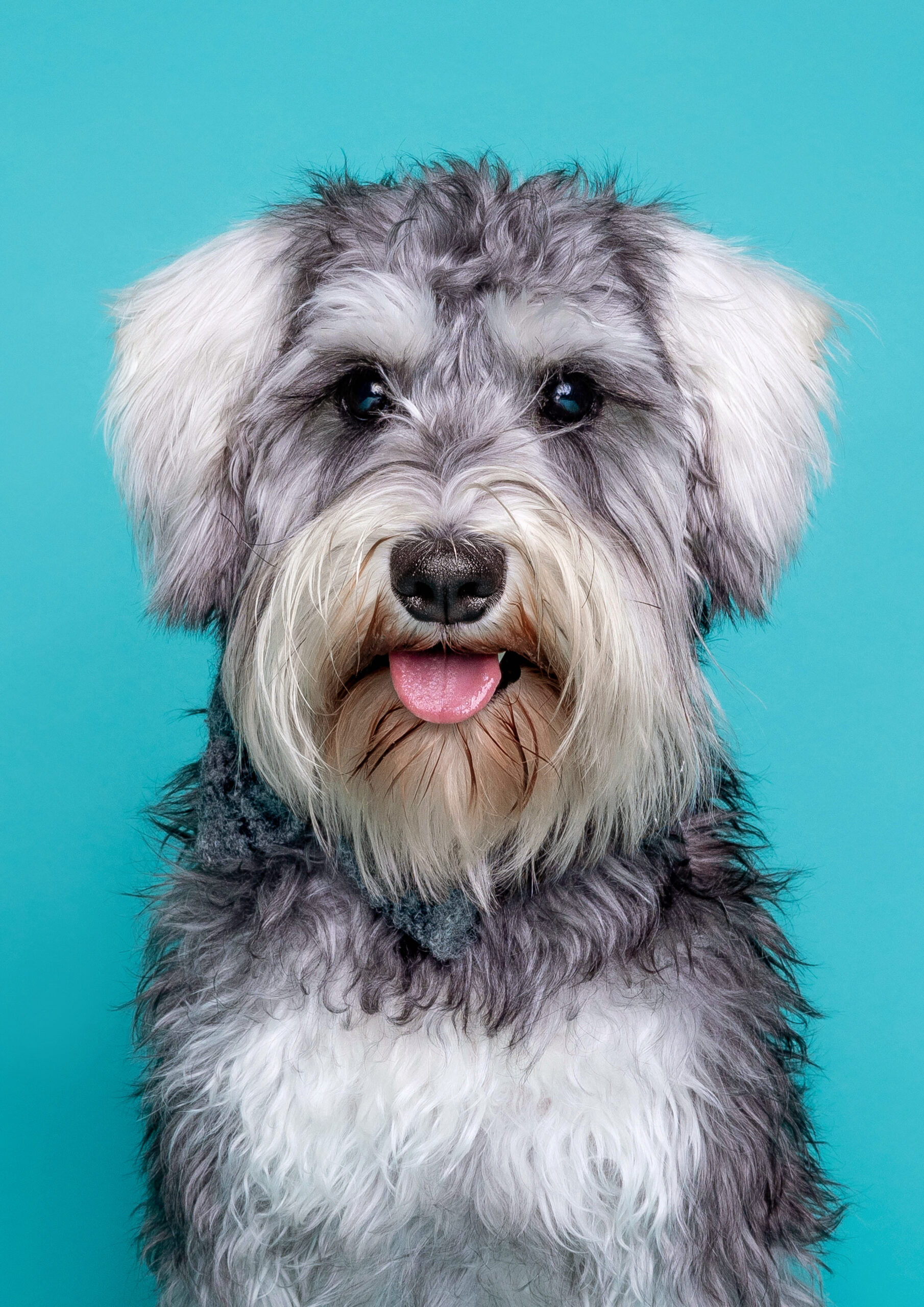 https://www.drakeandmorgan.co.uk/kings-cross/wp-content/uploads/2024/08/Woof-Photography-Image-4-scaled.jpg