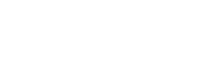 The Folly Logo