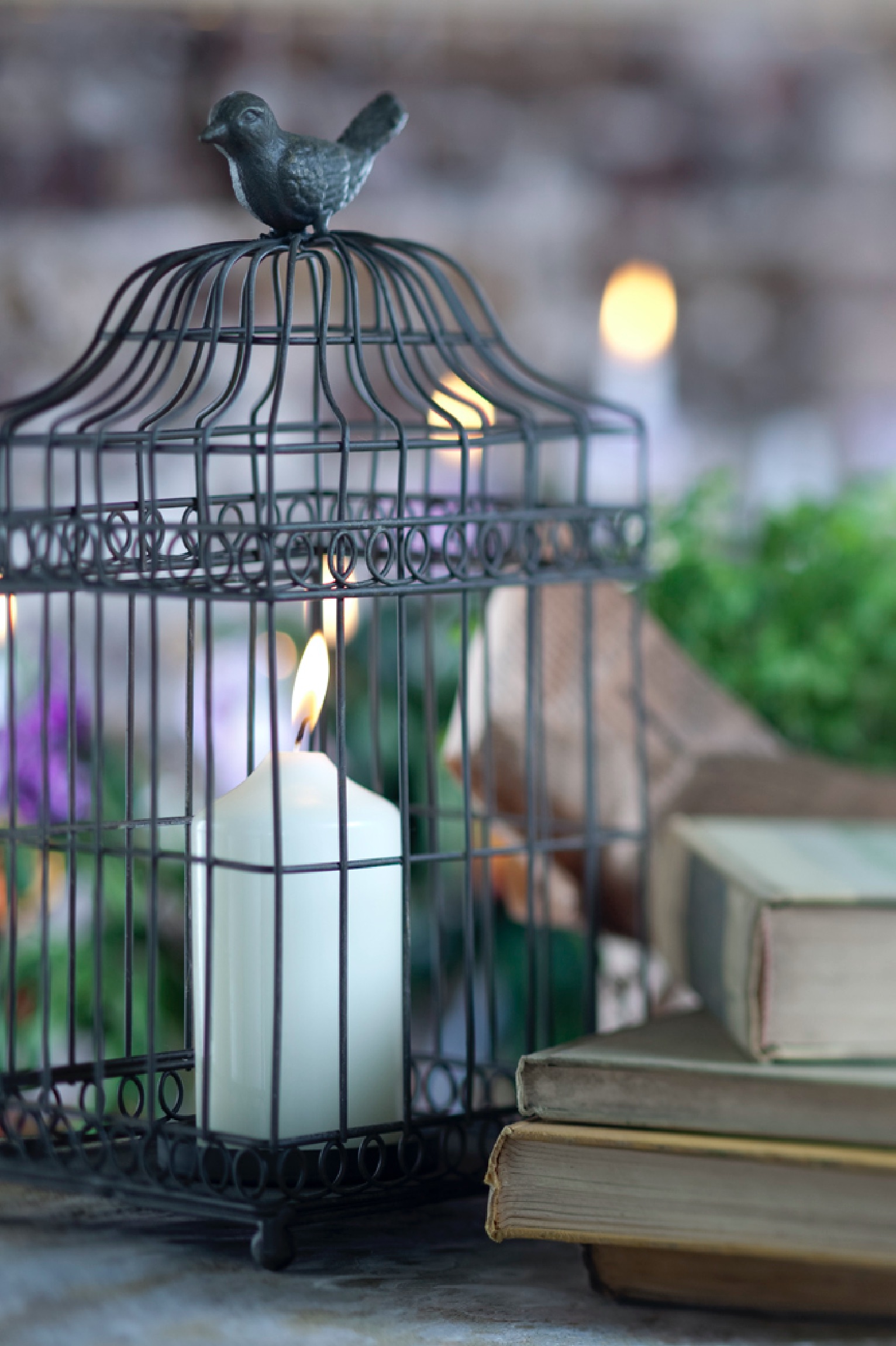 Birdcage