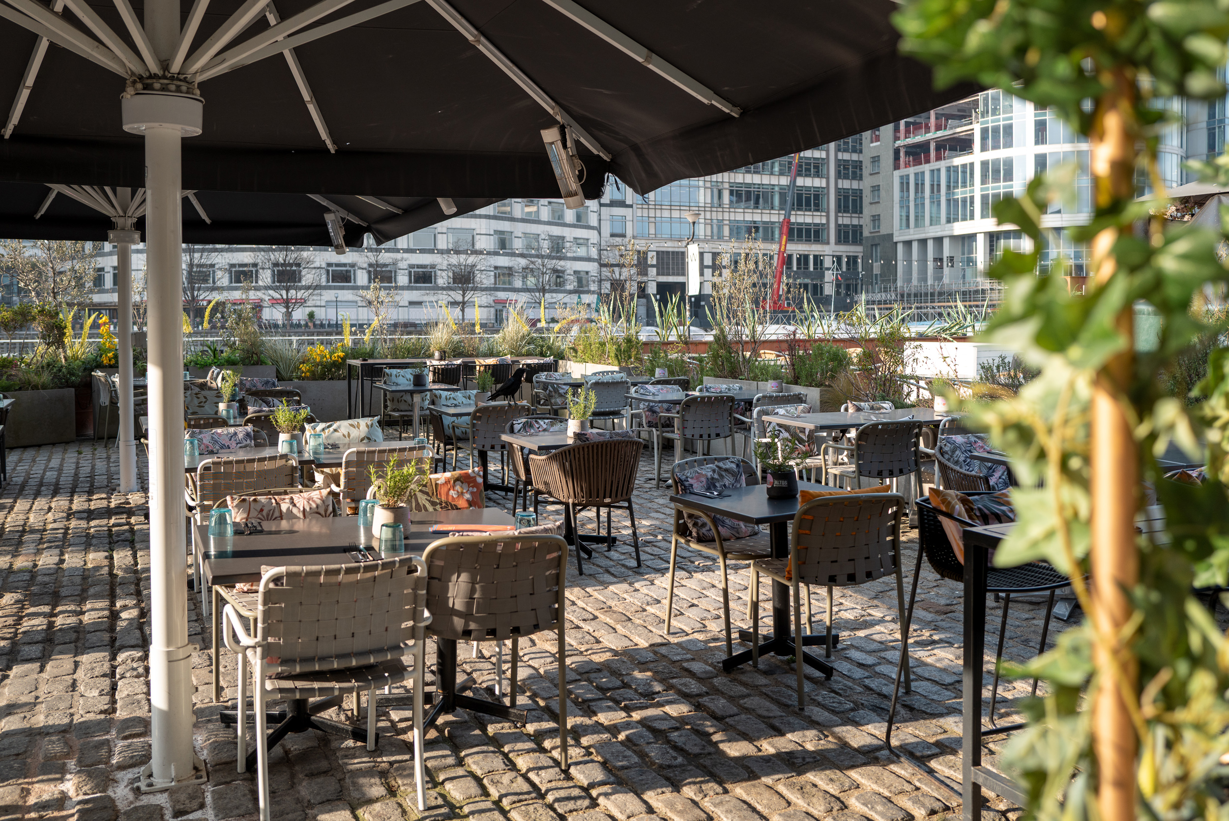 https://www.drakeandmorgan.co.uk/the-sipping-room/wp-content/uploads/sites/54/2025/04/DM-SippingRm-SS25-021.jpg