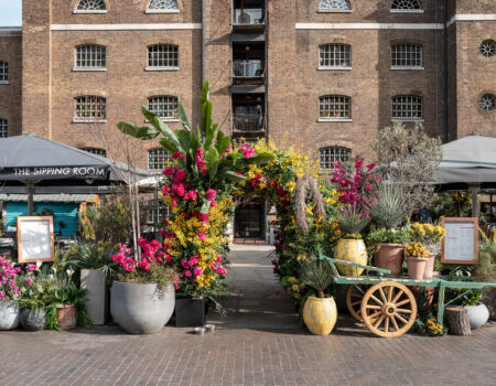 The Altos Terrace